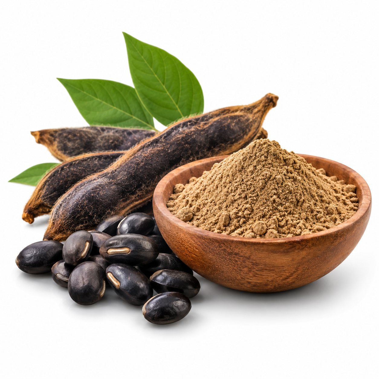 MUCUNA PRURIENS EXTRACT