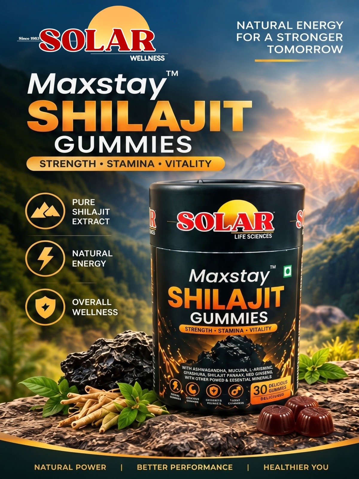 Maxstay Shilajit Gummies