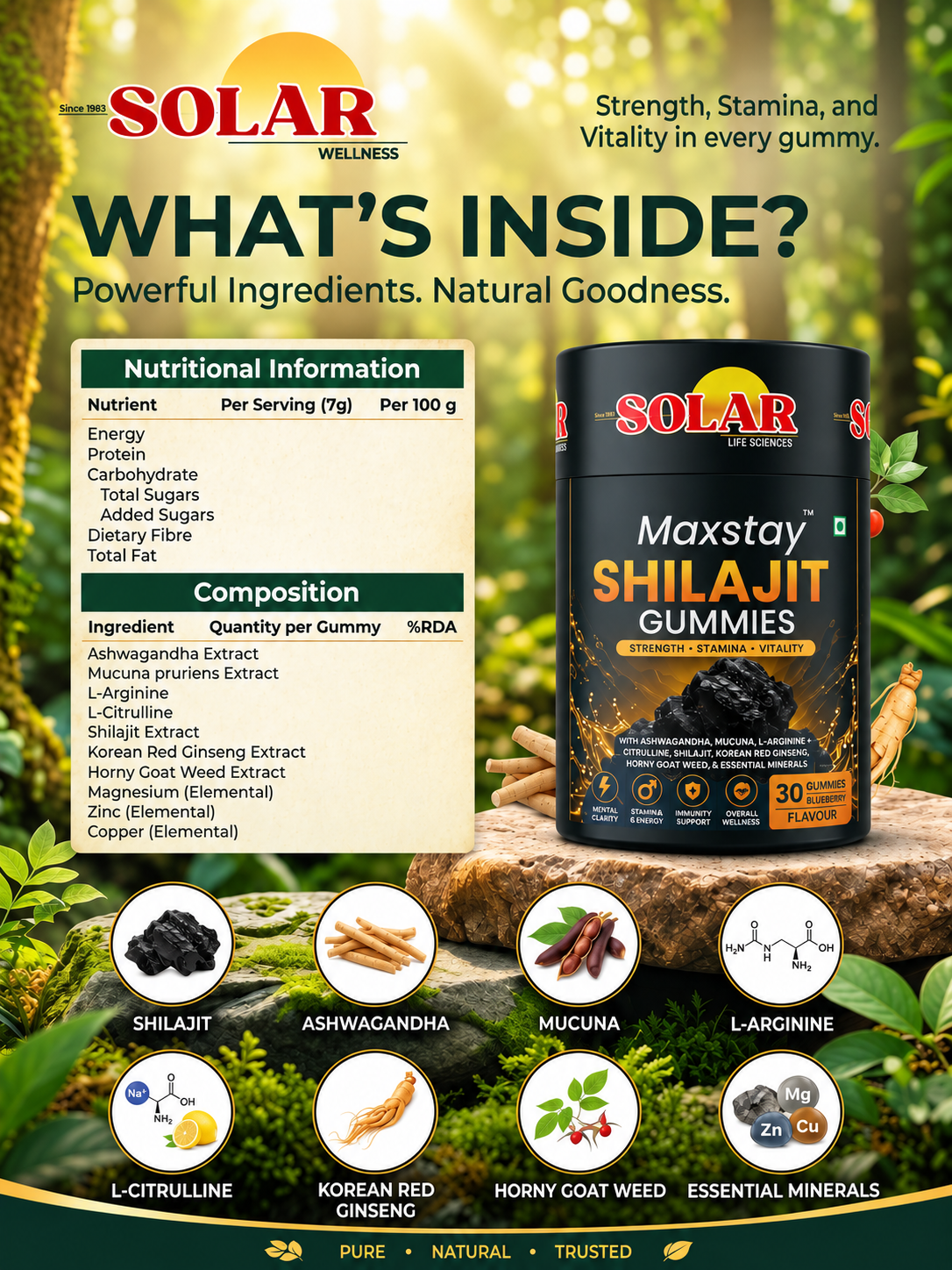Maxstay Shilajit Gummies